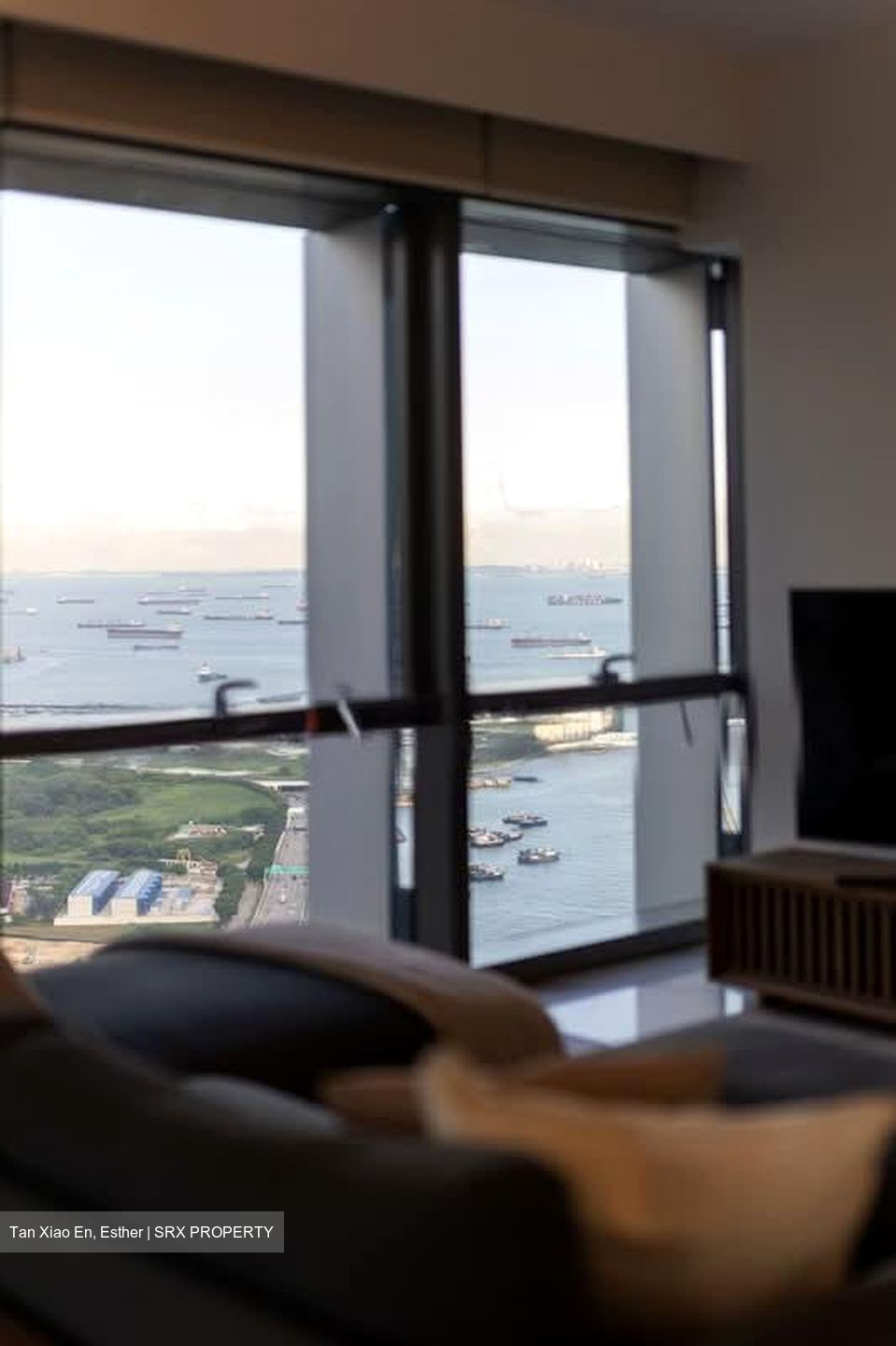 Wallich Residence  (D2), Condominium #586154251